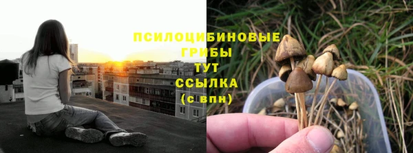 mix Ельня