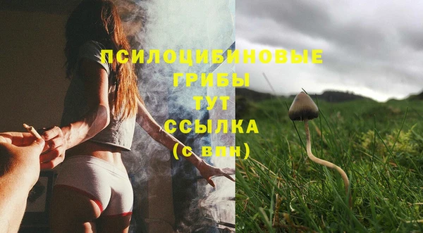 mix Ельня
