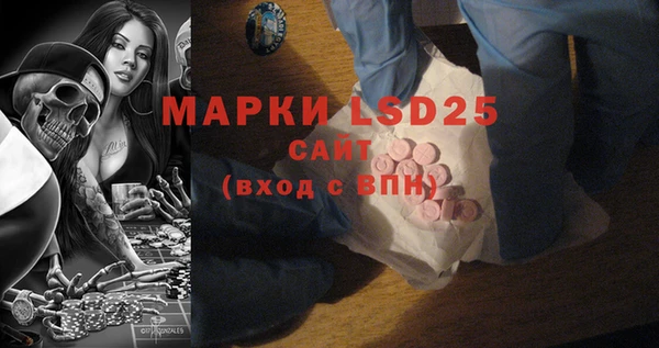 mix Ельня