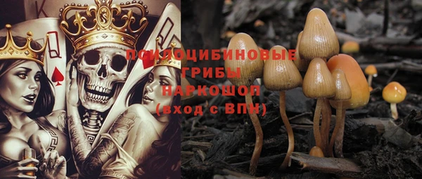 круглые Дмитриев