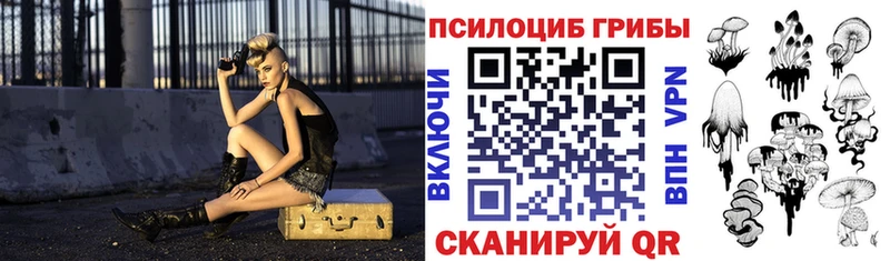 наркота  Краснокаменск  Псилоцибиновые грибы Psilocybine cubensis 